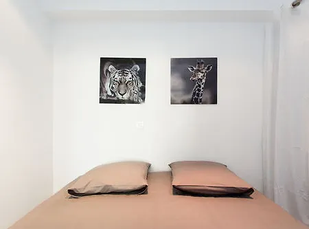 Apartment Cannes Appartement Cannes